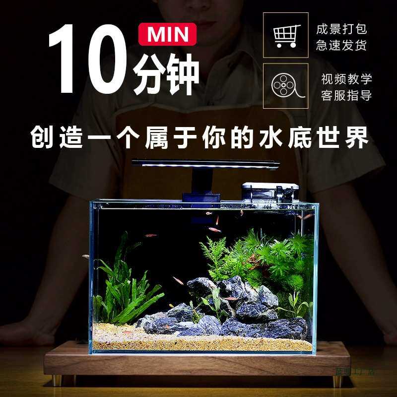 鱼缸客厅小型生态造景全套桌上小鱼缸桌面电视柜旁家用免换水超白