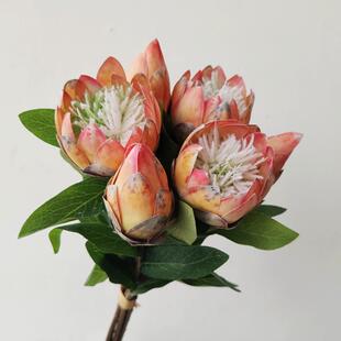 北欧橘色帝王花仿真花假花轻奢客厅桌面摆件摆放花卉间一扎百搭手