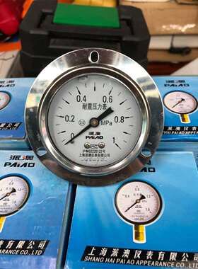Y60ZT 0.6mpa 1MPA 2.5MPA 4MPA 25 40 轴向带边压力表 上海派澳