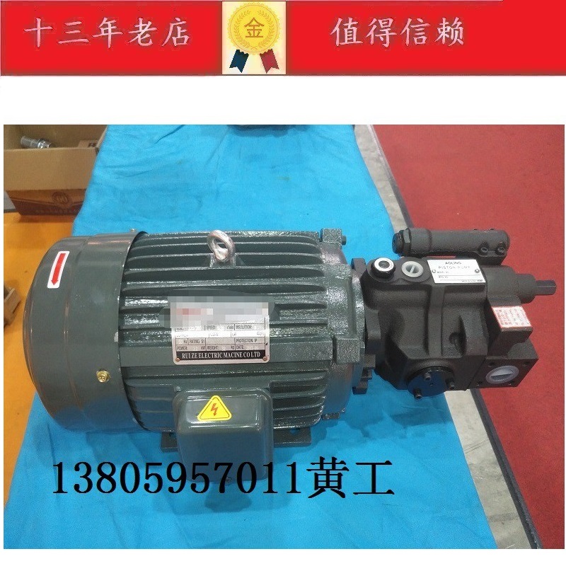 三相电机220伏2.2KW 4P 柱塞泵V1T5A3R10X