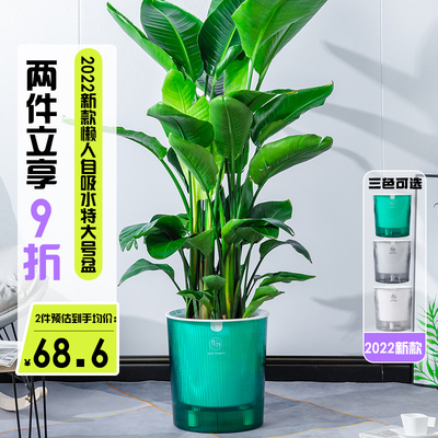 懒人自吸大花盆圆形塑p料花盆特大号龟背竹散尾葵大型绿植盆专用