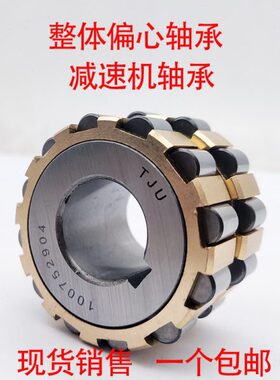 偏心轴承RN307摇摆进口品质RN205减速机专用整体偏心轴承套309轮