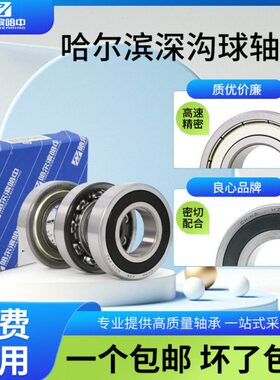 哈尔滨轴承大全6032 6034 6036 6038 6040 6044 6048 2RS ZZ 高速