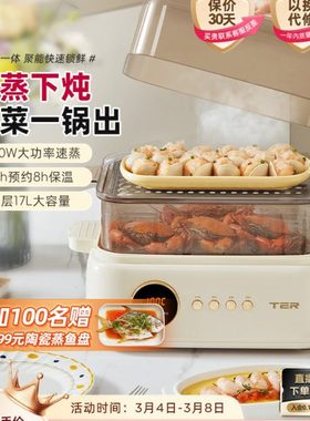 TER电蒸锅聚能鲜蒸锅蒸炖锅多功能家用蒸炖一体全自动预约蒸汽锅