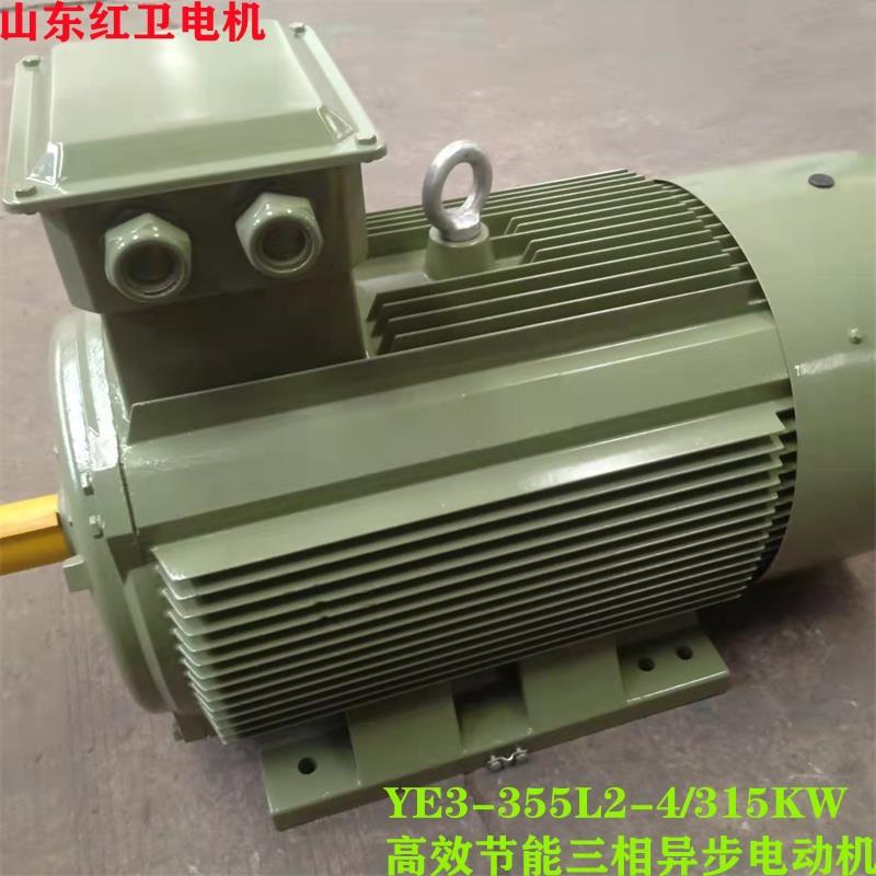 山东源头厂家直供YE3-355L2-4/315W低噪音三相异步电动机质保