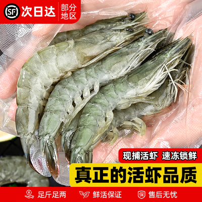 大虾鲜活速冻特大号新鲜海捕大虾