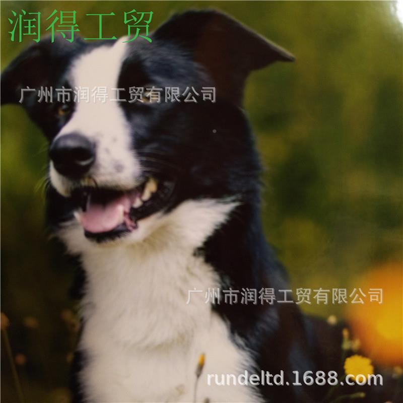 PVC透明水透光保护膜LAH膜一亮卷批卷真筒影起楼广告写防水防刮
