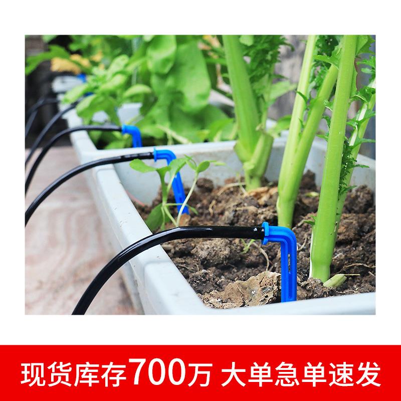 苗木果滴箭m花卉绿化盆栽一出四滴箭带园307稳流器50c一出滴二箭