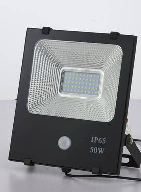 solarLiIghtLERSXD太阳能人体感应投光灯PR50W100W院灯庭人体感应