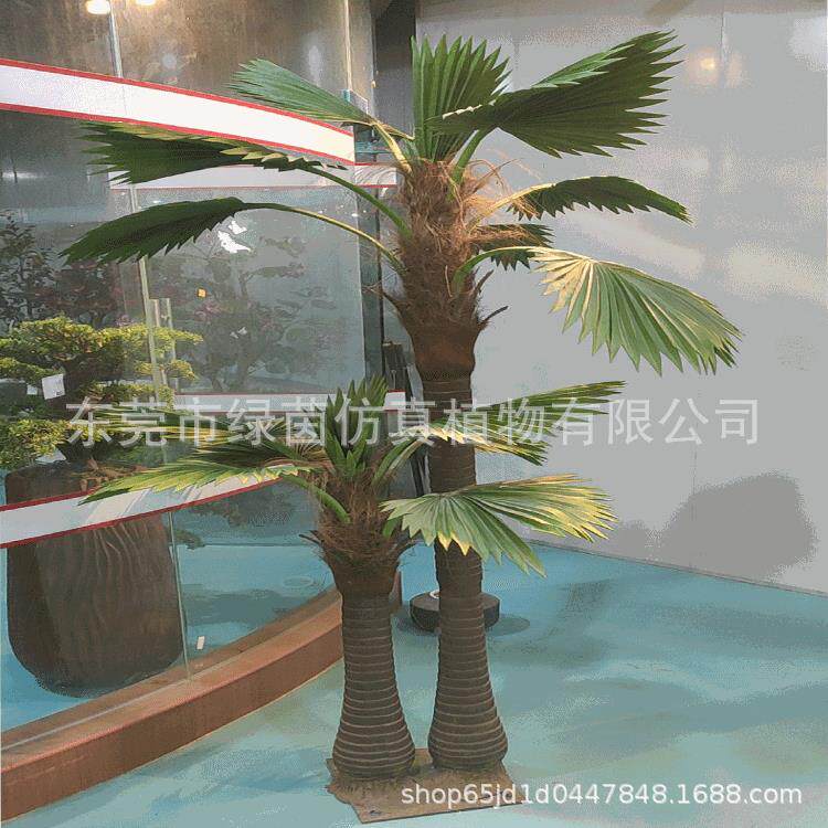 仿真叶植物扇葵树扇葵LV102葵扇叶蓬扇树葵扇居木扇竹葵铁力木家