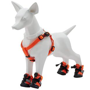 狗衣服模特品柯直基狗模特狗衣服672摄道具用店铺拍展示狗模型播