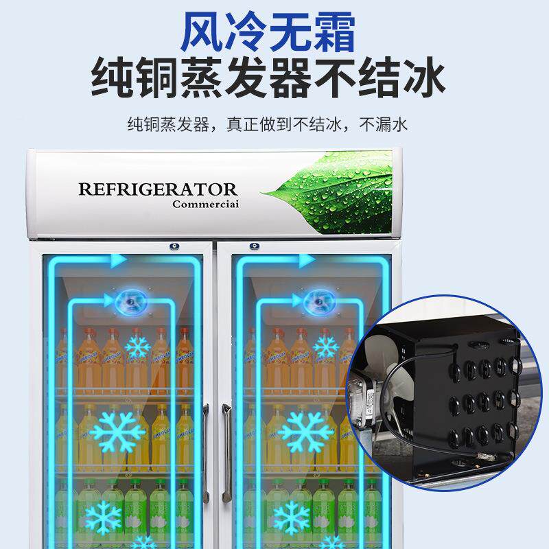 啤酒柜保鲜冷藏展示983柜料饮柜柜立门式冰单门双水果蔬菜冷饮柜