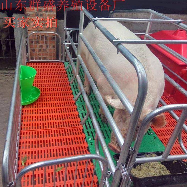 新型加厚母ONY单猪产床体猪产床体养双殖设备分娩栏高培猪用产床