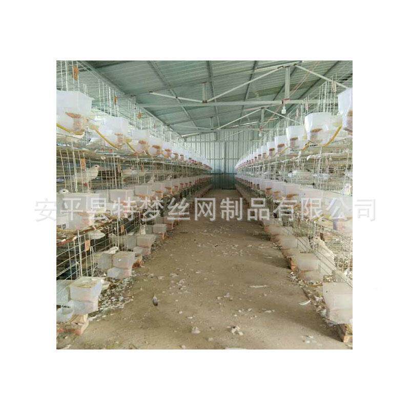 鸽网笼加粗式镀锌鸽笼河北1.5米/1.鸽子笼子鸽笼铁鸽笼网立片