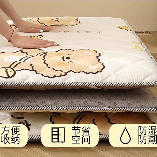 睡觉打垫地铺垫睡垫软学宿舍床可生折叠单人海绵垫161褥租房