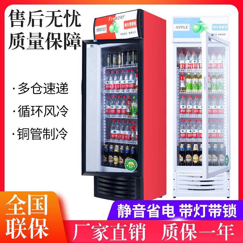 料展858示柜酒柜商用藏冰柜双开门冷饮冷柜单门冷藏啤立饮式保鲜