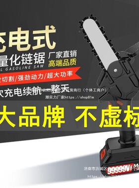 德国进口充携电锯式锂电锯电链无刷户外便式电锯家单手FJO锯轻小