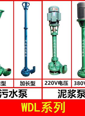 5WDL污水SXY泵泥浆泵河道鱼塘清泵立式7排污泵杆泵3淤寸