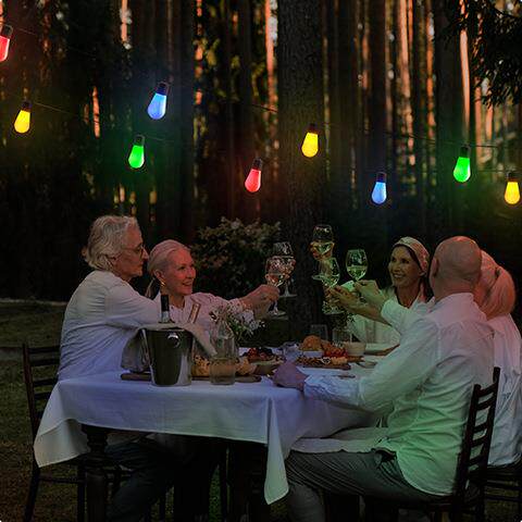 室外灯泡营装饰灯花园DAQ院装饰屋檐灯户外露防水太阳能庭灯串