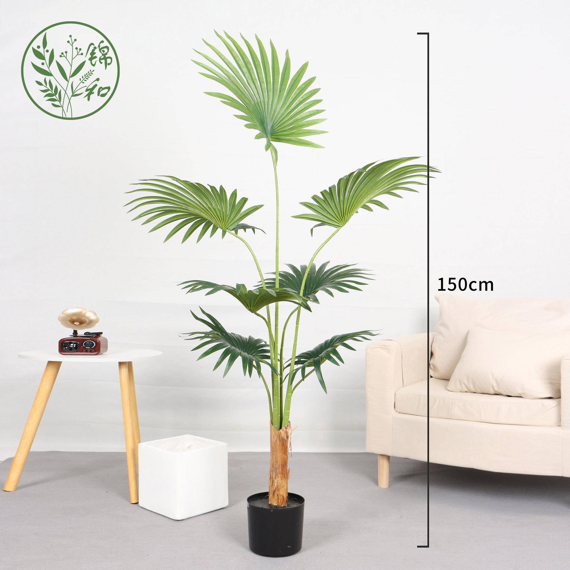 网3259685红仿加州蒲葵唐树葵仿真植物落地真客厅室内装棕饰绿植