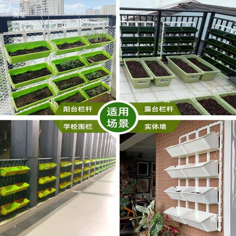 家庭菜园阳层台种MCS菜多挂蔬垂菜直壁立体种植盆挂架种菜种花盆