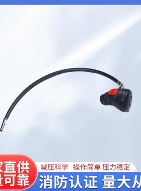 自给开路式空气呼吸器G纤F-0-单人BA2100呼吸器碳维气瓶30MP2A