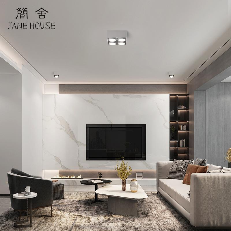 无主灯l明筒灯客厅卧室餐厅e玄JI关d装吸顶式无频闪单双四头豆胆