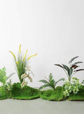 苔植物造景装饰仿生DD102206景轻绿摆件室盆植内微景观组合奢花藓