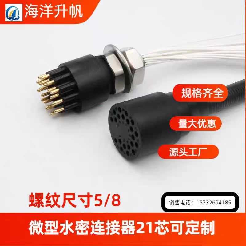海洋升帆微型21芯水密连接器