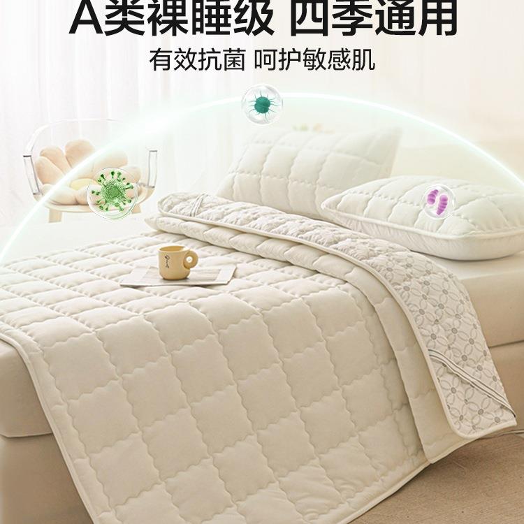 床垫家用床褥护F99JS6JS垫款夏季薄褥子租房垫被舍学生宿单人床垫