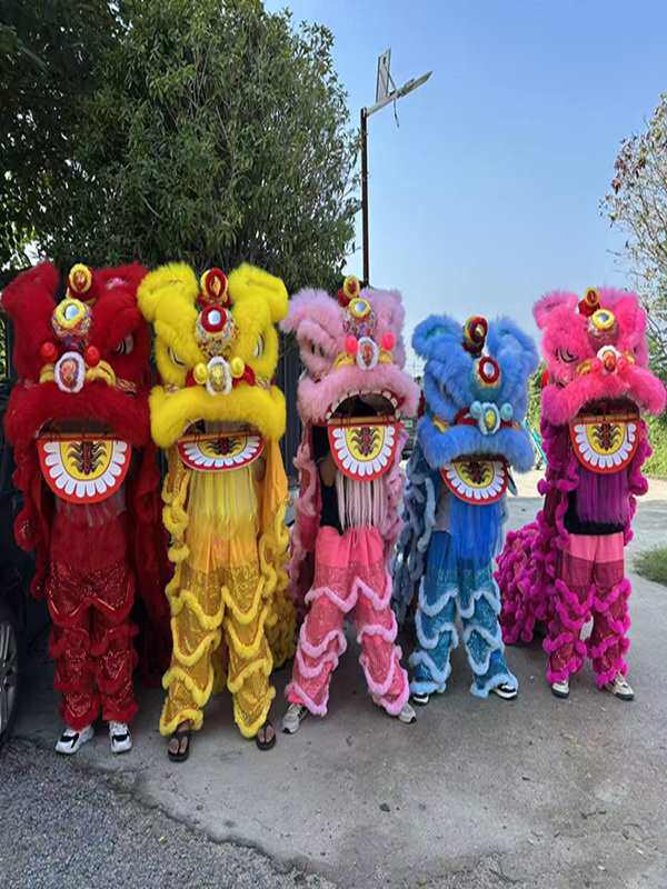 舞狮道具全套南狮醒狮双人树脂胶舞狮整套成人表演三号羊毛狮子头