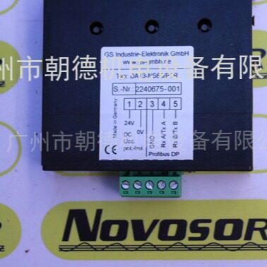 GS 数显表DA13-NS60/P1R  先咨询再订期货