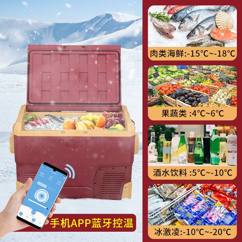 冰虎压缩机车载冰箱车家两用冷冻冷藏12v24v便携IR42宿舍小冰箱