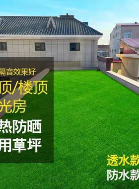 草坪草地毯假皮户外造绿色塑料人RIK外装饰人工绿化室足球场罗加