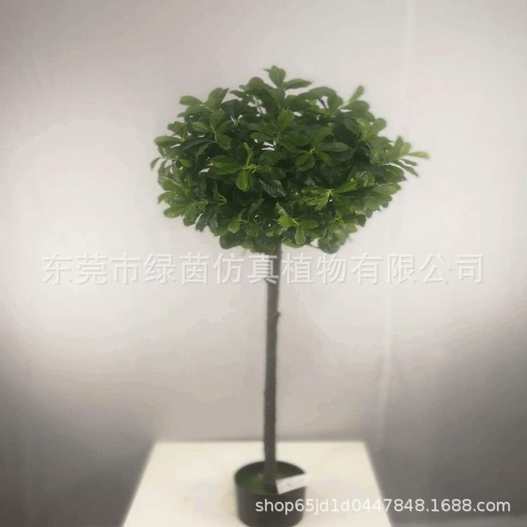 东洋莞真福禄桐盆景造LV097绿植人圆叶南森摆件南洋参假南仿洋森