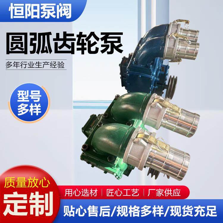 圆弧齿轮泵抽粪泵带清理口油罐车车载圆弧加油泵工业齿轮油泵