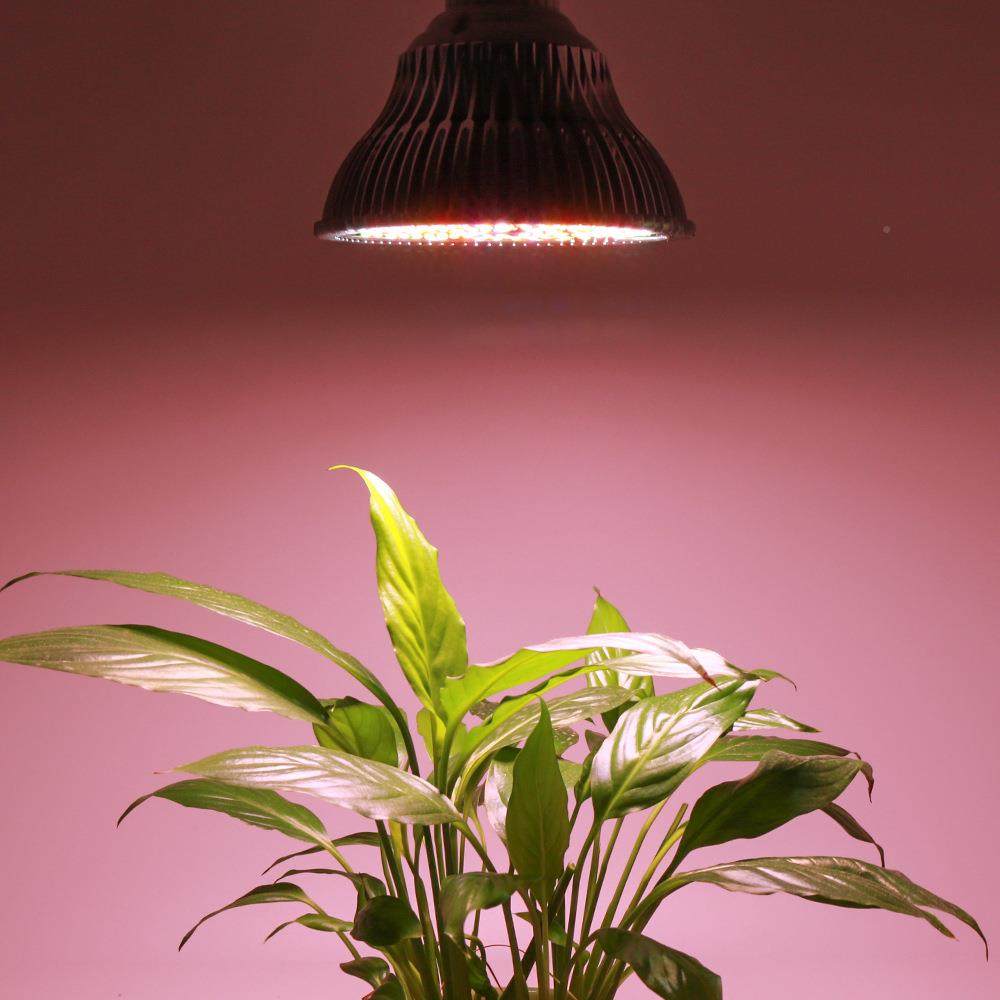 灯直供E27全光阳谱植物灯LED生补光AAK120W暖光植物长灯防太光