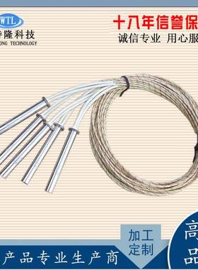内出线加UVE热棒不钢锈单电热管管模头具干烧加热耐温950度