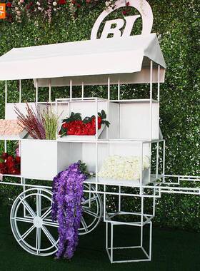 婚礼花艺户外拍车摄道具园艺摄铁5415615影花架摆装件花店饰品展