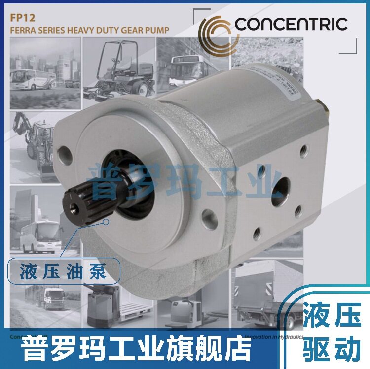 德国CONCENTRIC齿轮泵WP09A