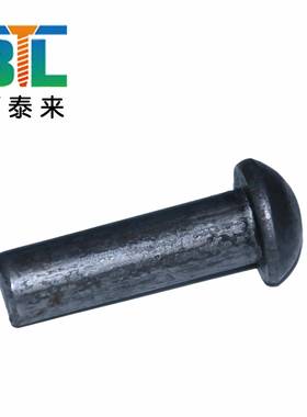 家直YWN销生产铁圆头实心铆钉平厂帽铁铆钉汽车配件平铆钉紧固件