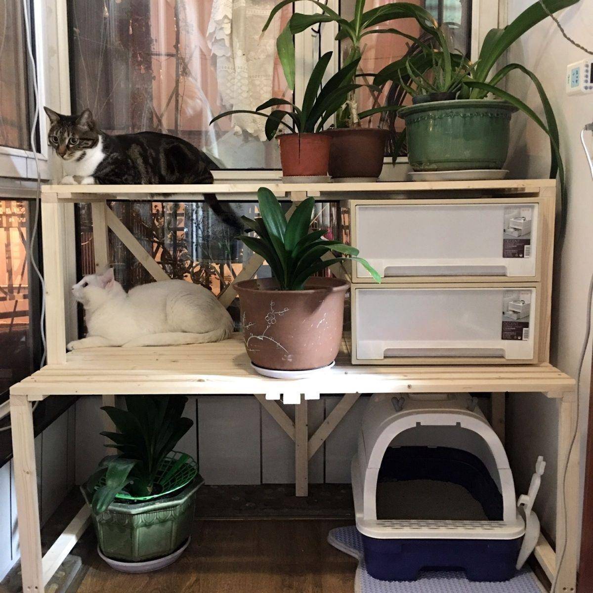 实用花架猫砂木盆置物架多层ZCZ爬架宠物品收纳阳台阶梯猫猫窝架