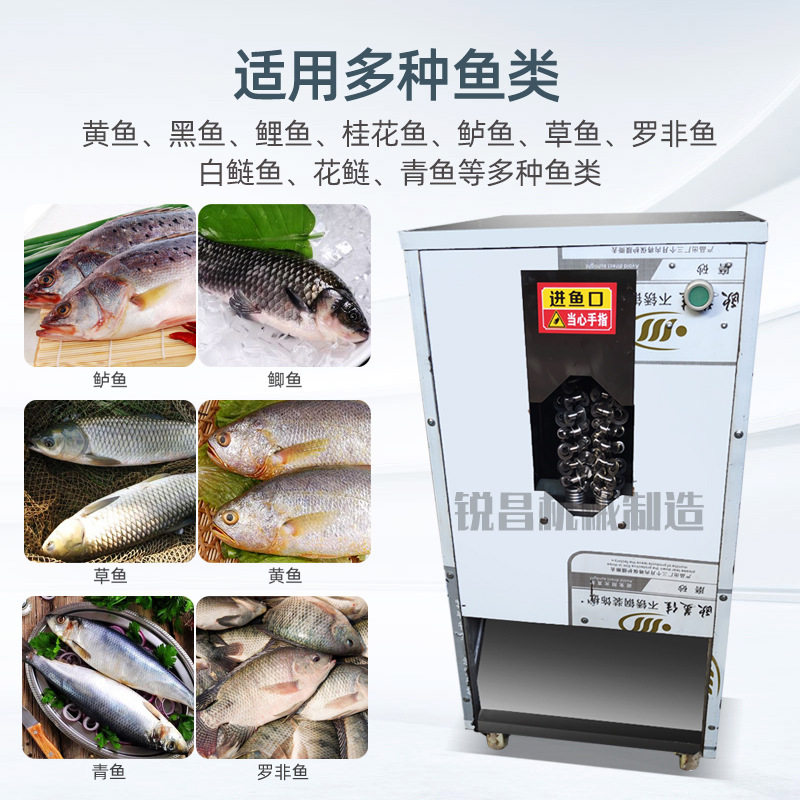 杀鱼机器全自动去鳞开背开肚商用一体机宰鱼机剖腹全自毛辊清洗机