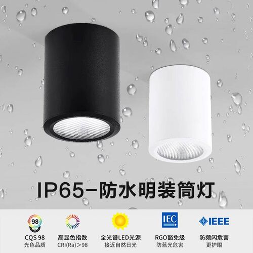 led防水明装筒灯户外室外阳台店铺门头酒店雨棚露台吸顶射灯IP65
