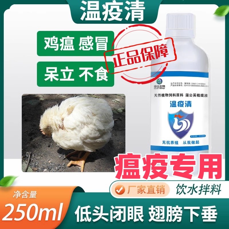 瘟疫清鸡药鸭鹅鸽家禽专用温抗毒流感重症死不了瘟病咳嗽克星大全
