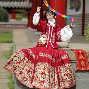 新款女款女士日常冬季拜年汉服明制秋冬新中式成人马面裙加绒上衣