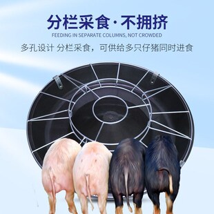 猪食槽圆形小猪塑胶补料槽猪场喂猪饲料槽保育床产床饲料盆
