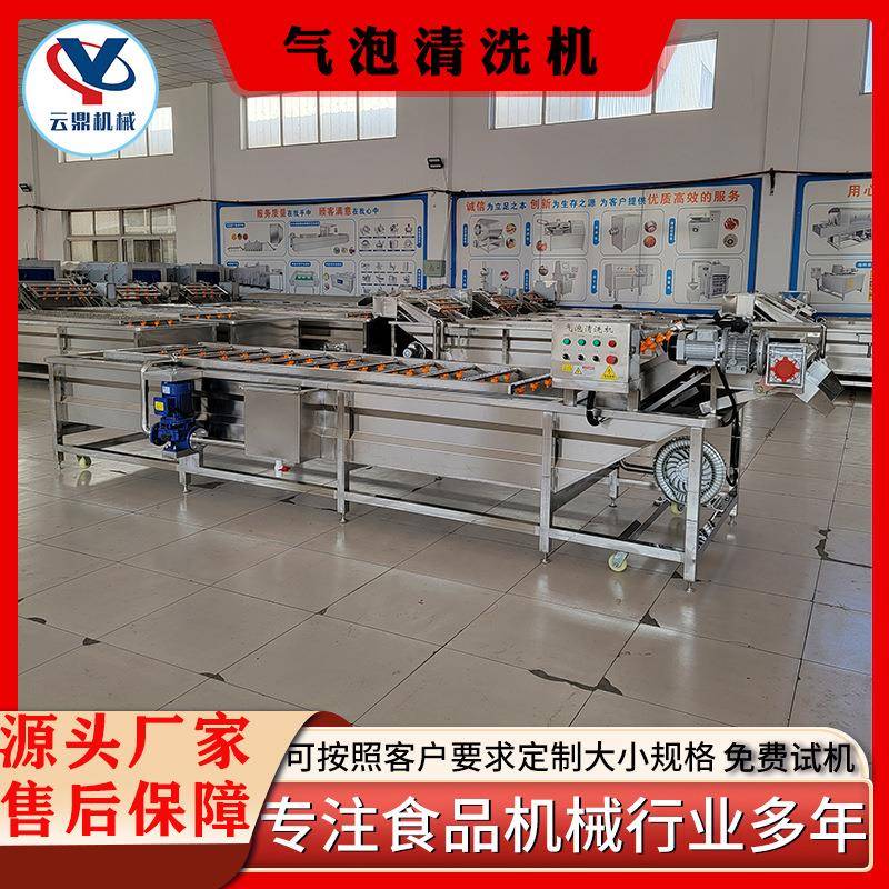 大型竹笋气泡清洗机蔬菜药材清洗风干线大白菜高压喷淋洗菜机