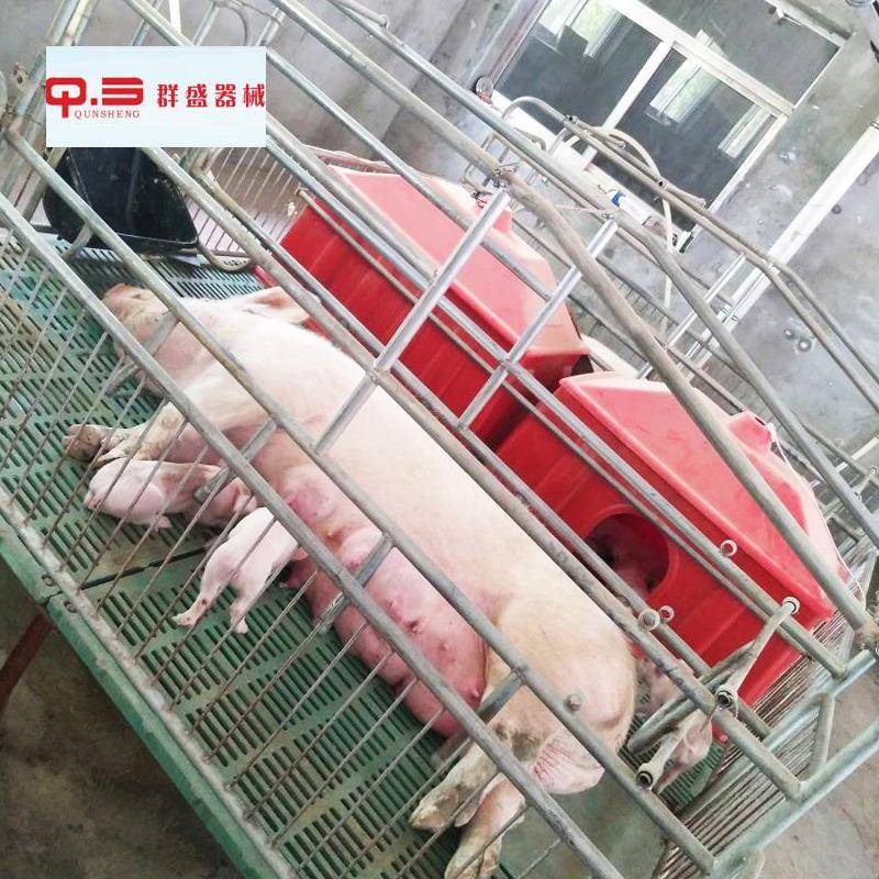 母猪产床复合板加厚猪床单体双体产床仔猪分娩床养殖设备猪产床