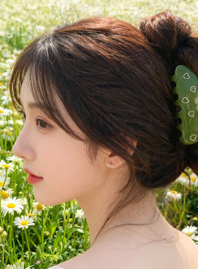 URRYKID原创设计醋酸抓夹高级感菊花抓夹韩版百搭中号鲨鱼夹